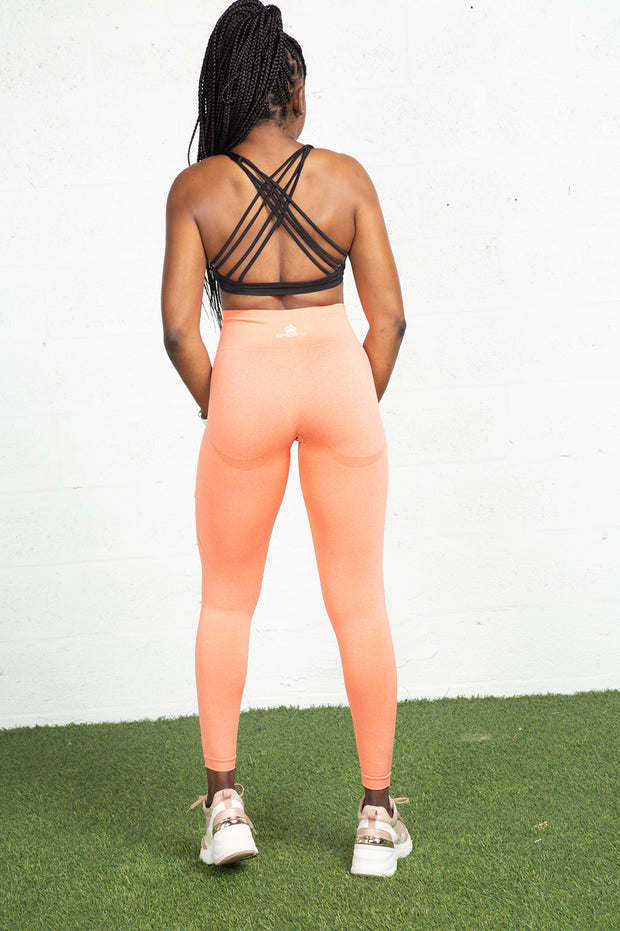 QBF Flex X Leggings